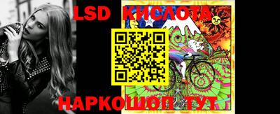 СК Волгодонск
