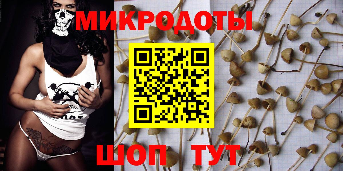 Псилоцибиновые грибы Magic Shrooms Кузнецк